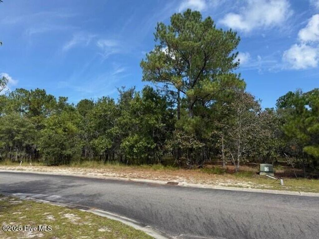 Photo of 3026 Hartley Drive SE, Bolivia, NC 28422 (MLS # 100534423)