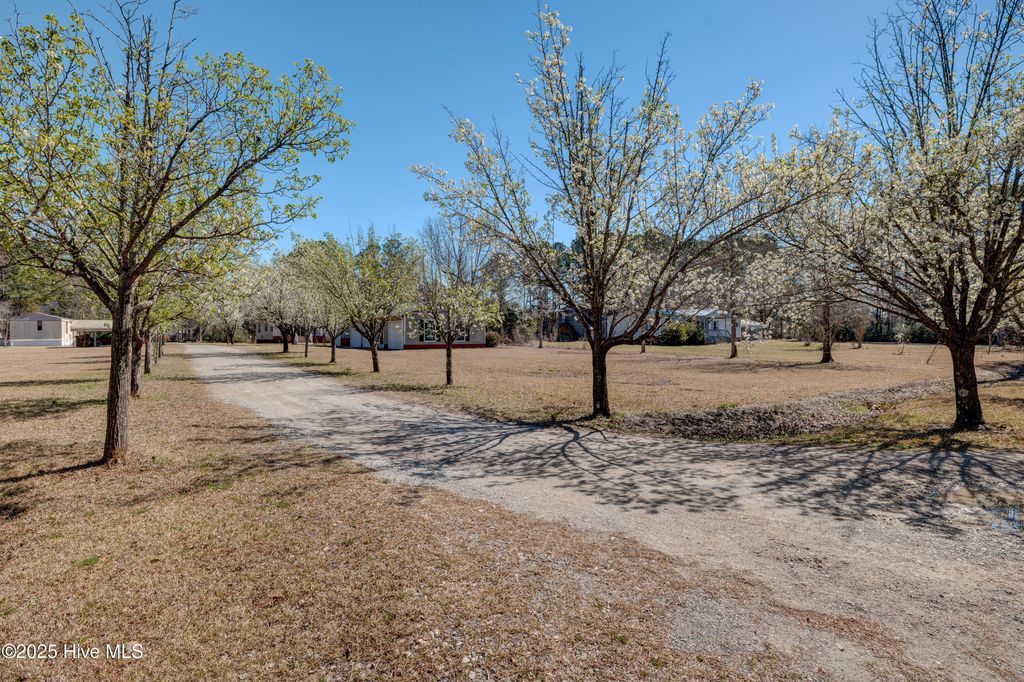 Photo of 4 Chris Drive, Castle Hayne, NC 28429 (MLS # 100521709)