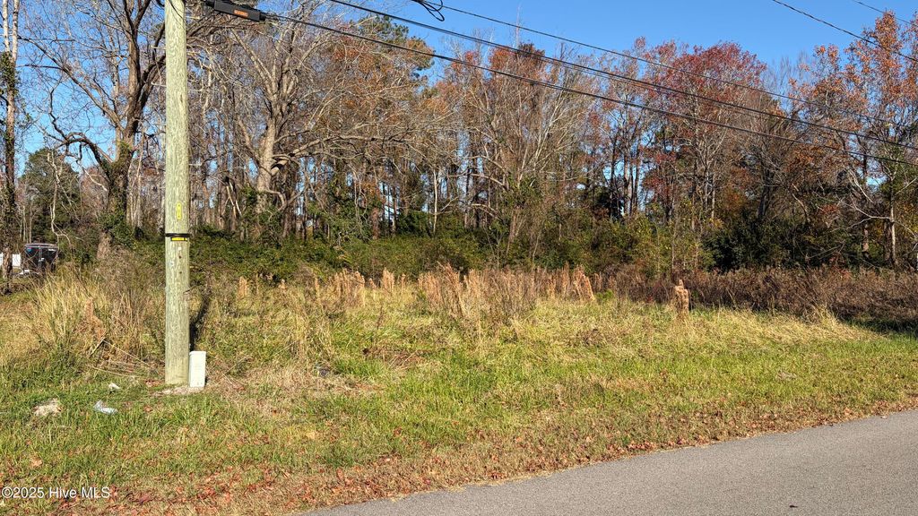 Photo of 0 Railroad Street, Belhaven, NC 27810 (MLS # 100543129)