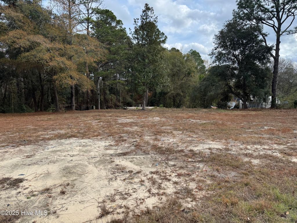 Photo of 0 Ellerbe Road, Rockingham, NC 28379 (MLS # 100543594)