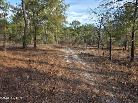 Lot 11 Meeks Creek Drive Rocky Point NC 28457