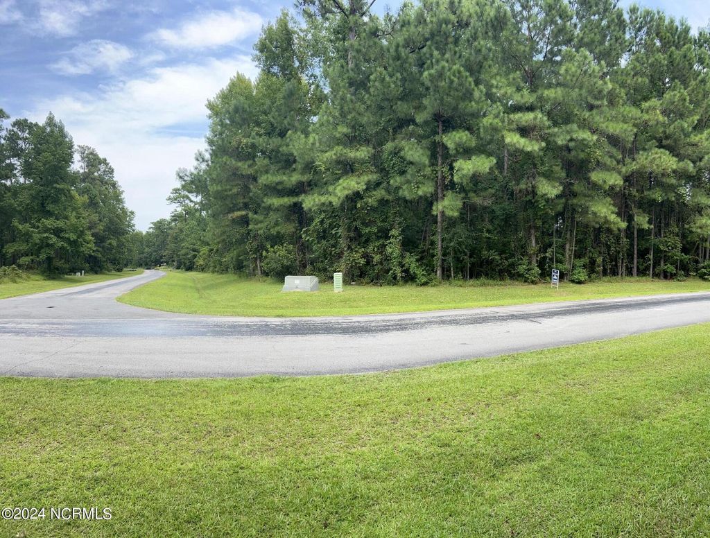 Photo of 118 Herring Pond Court, Beaufort, NC 28516 (MLS # 100413159)