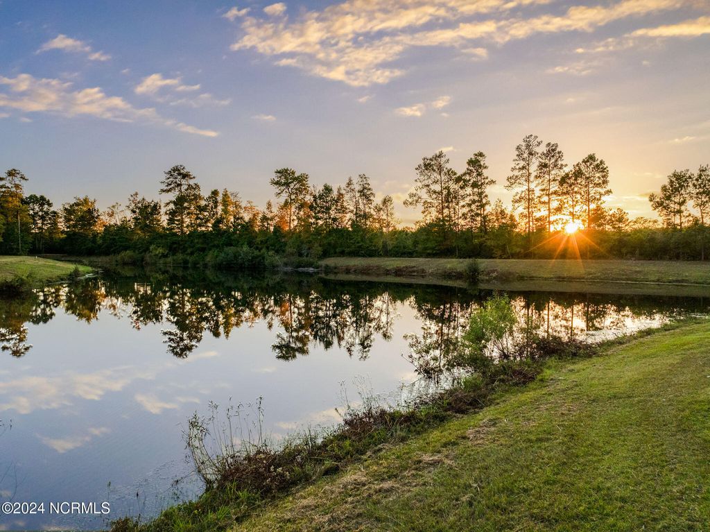 Photo of 115 Mimosa Court, Wallace, NC 28466 (MLS # 100472928)