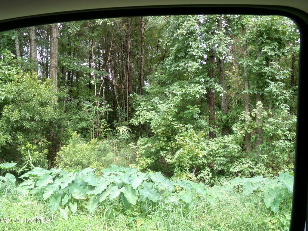 Photo of 15 Near 132 Scott Circle, Fair Bluff, NC 28439 (MLS # 100525768)