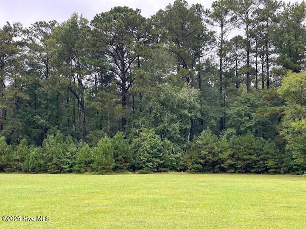 Photo of 0 Reed Trail NW, Ocean Isle Beach, NC 28467 (MLS # 100533413)
