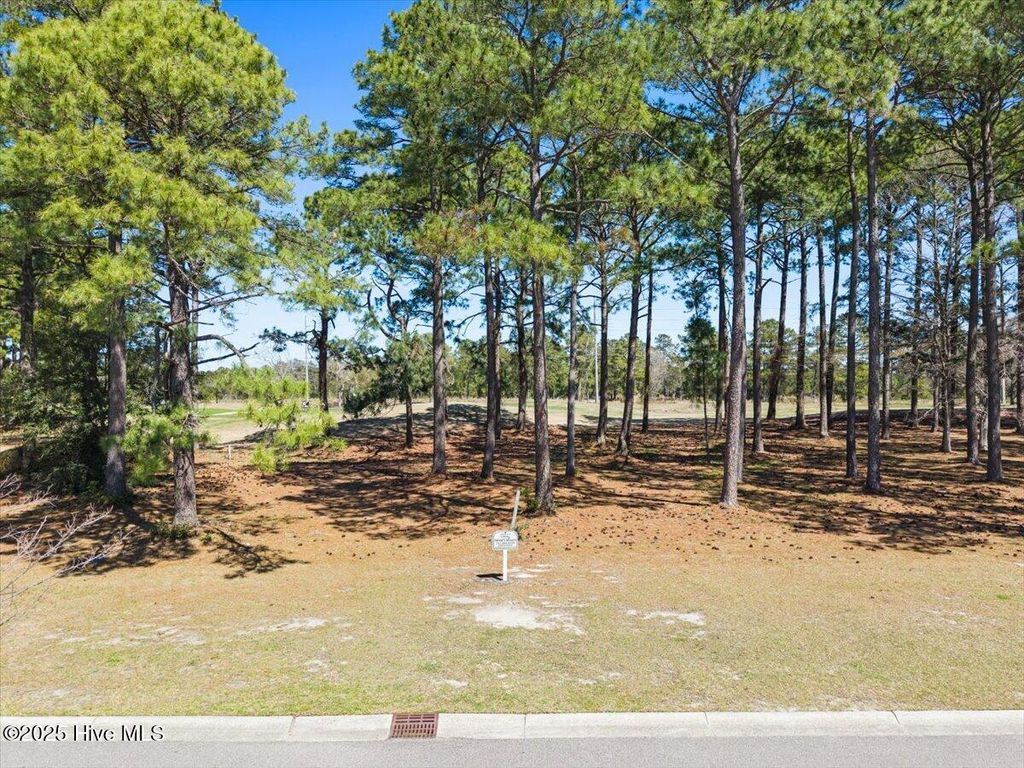 Photo of 59133 Eastwood Park Road, Sunset Beach, NC 28468 (MLS # 100495435)