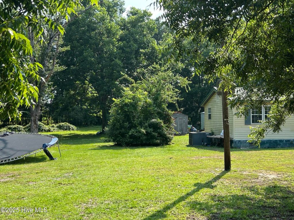 Photo of 14081 Oil Mill Road, Gibson, NC 28343 (MLS # 100544031)