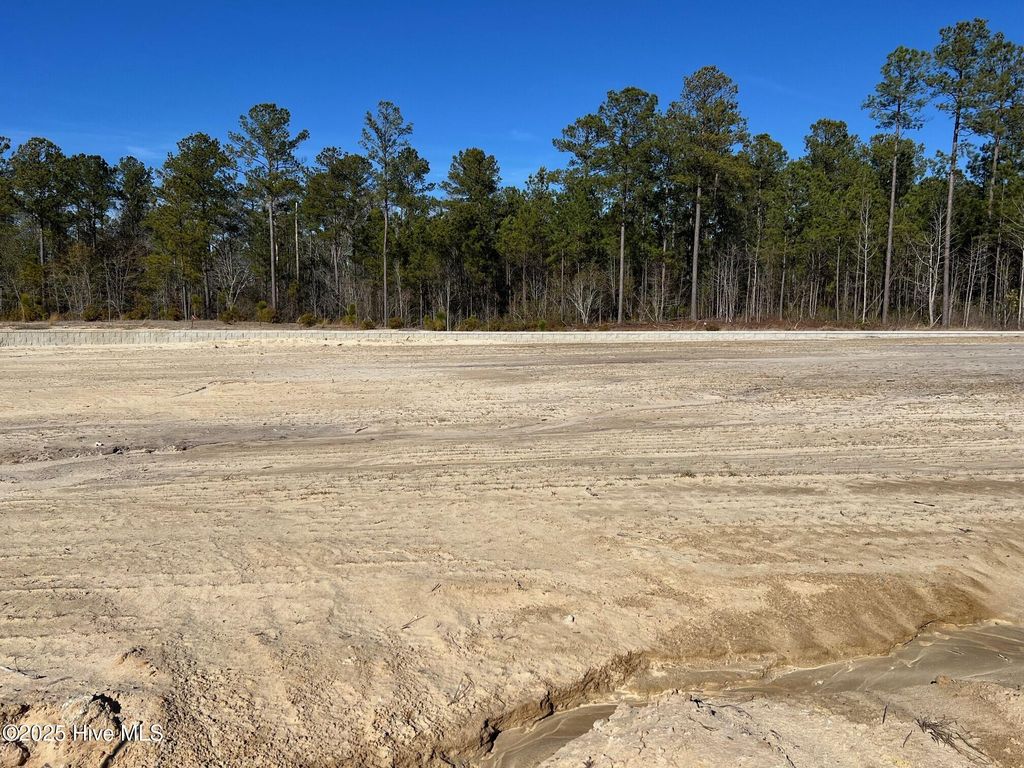 Photo of 2923 W Timber Crest Lane NE, Leland, NC 28451 (MLS # 100497508)