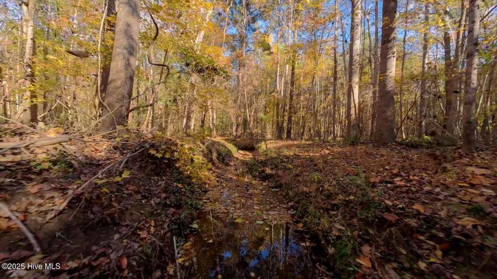 Photo of 0 Nc Hwy 903, Littleton, NC 27850 (MLS # 100542422)