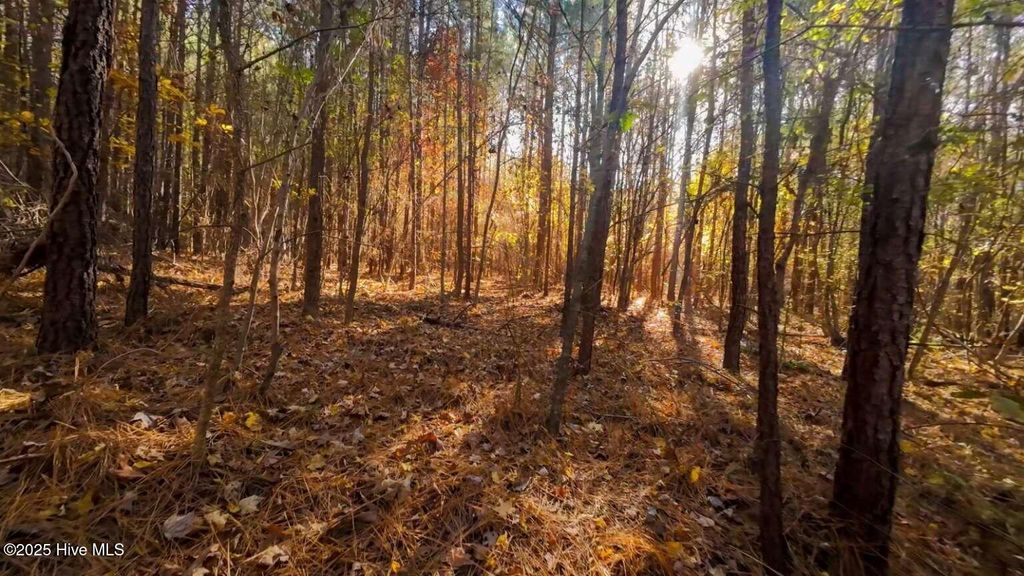 Photo of 0 Nc Hwy 903, Littleton, NC 27850 (MLS # 100542422)