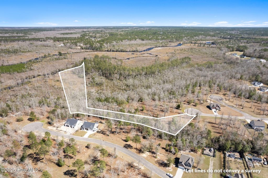 Photo of 637 Squirrel Run Drive SW, Supply, NC 28462 (MLS # 100495468)