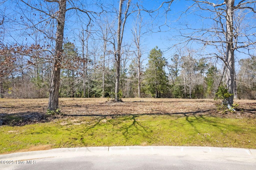 Photo of 637 Squirrel Run Drive SW, Supply, NC 28462 (MLS # 100495468)