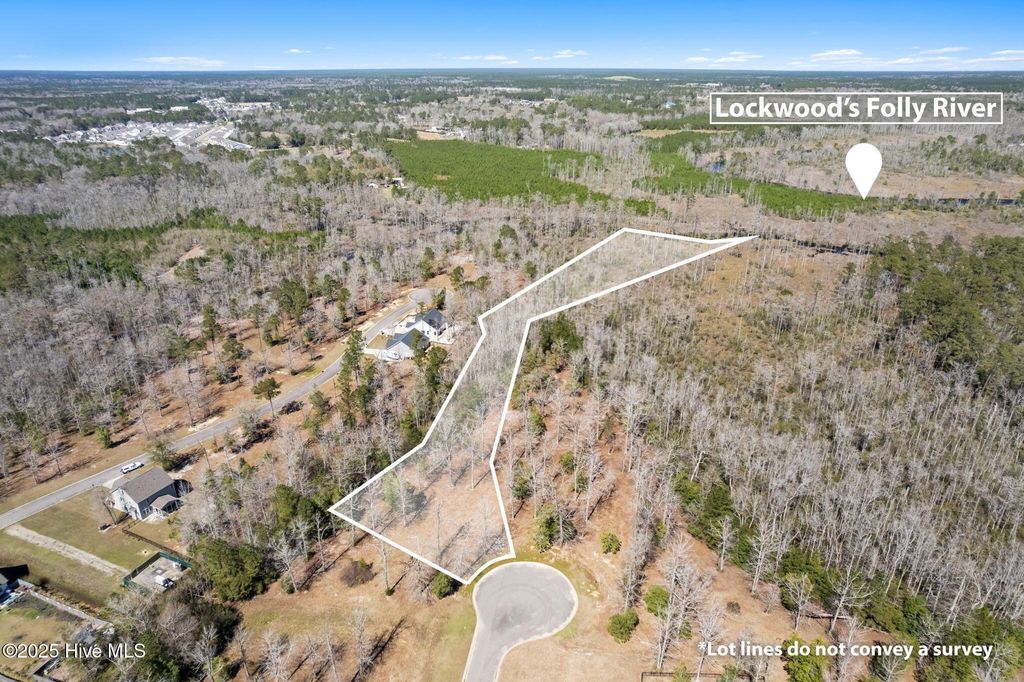 Photo of 637 Squirrel Run Drive SW, Supply, NC 28462 (MLS # 100495468)