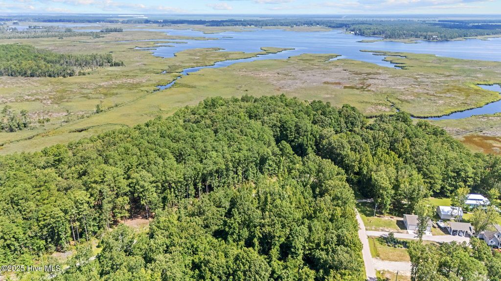 Photo of Tbd Batemans Creek Road, Belhaven, NC 27810 (MLS # 100521472)