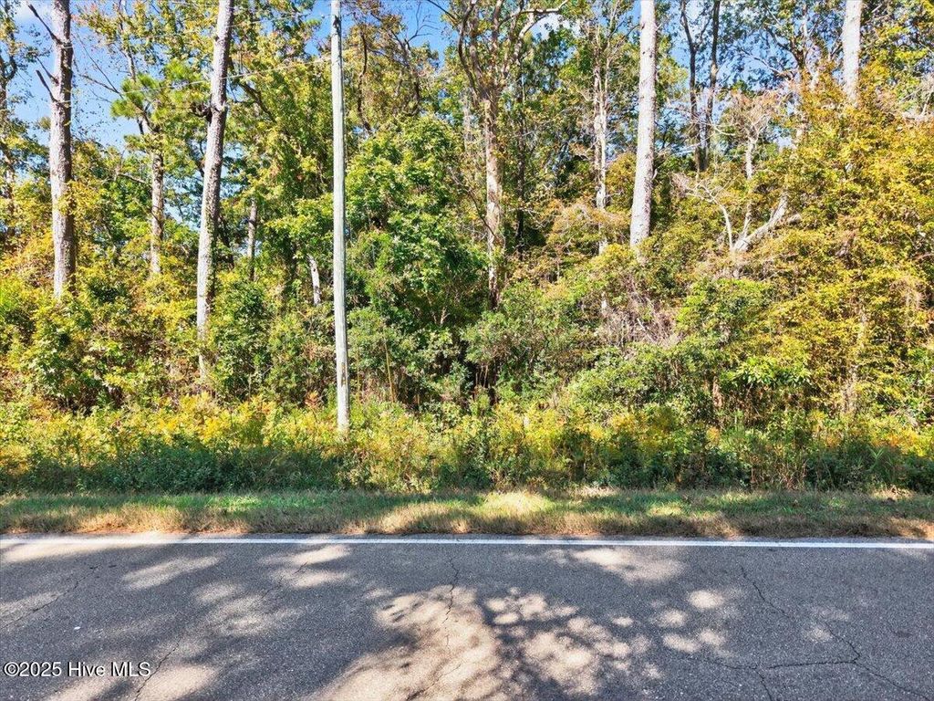 Photo of 2340 Boones Neck Road SW, Supply, NC 28462 (MLS # 100538805)