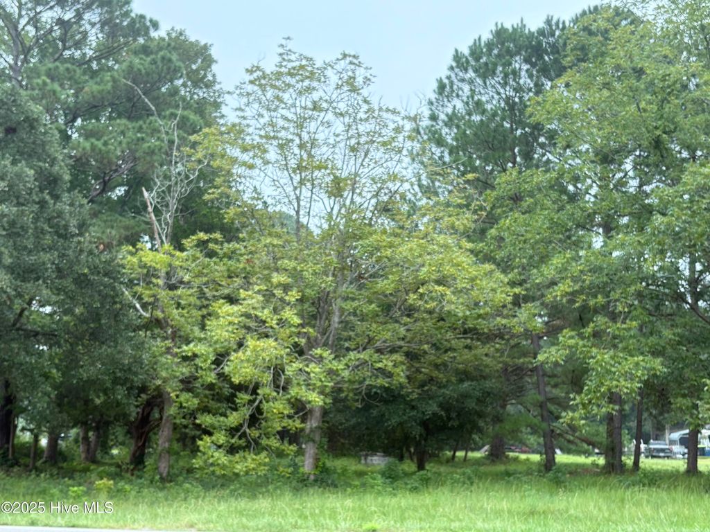 Photo of 917 Bricklanding Road SW, Shallotte, NC 28470 (MLS # 100527480)