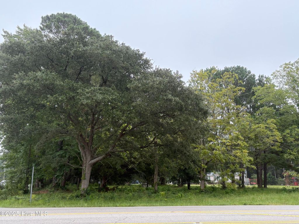Photo of 917 Bricklanding Road SW, Shallotte, NC 28470 (MLS # 100527480)