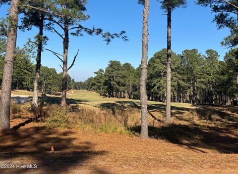 A home in Southern Pines