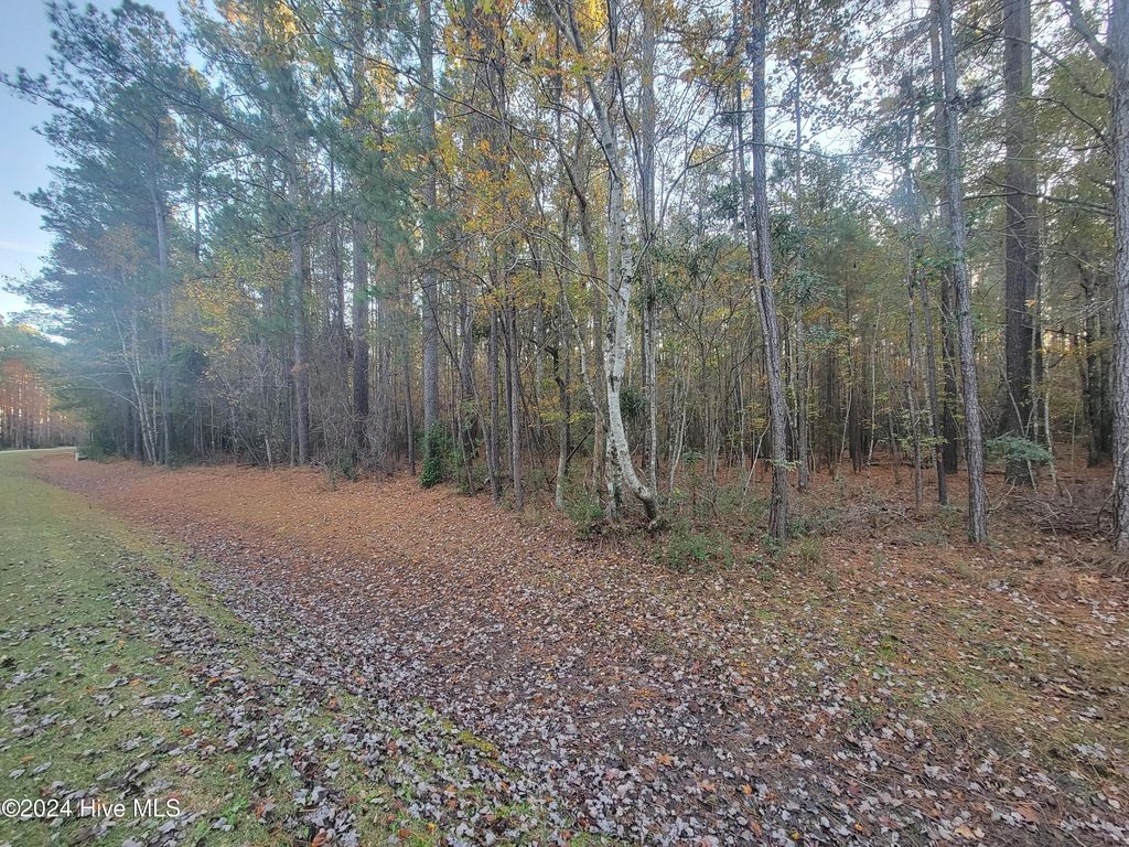Photo of 258 Port Drive, Oriental, NC 28571 (MLS # 100477755)