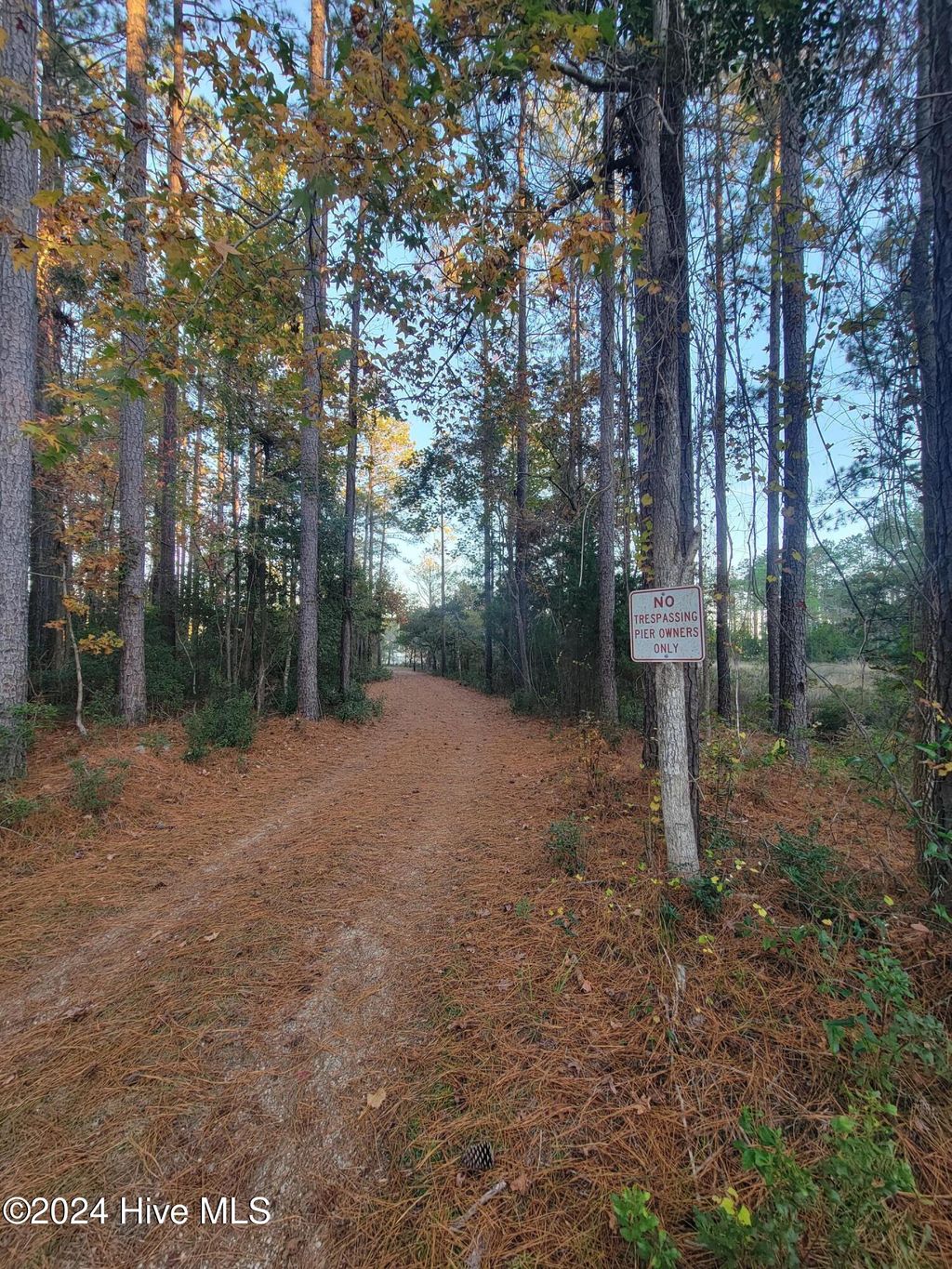 Photo of 258 Port Drive, Oriental, NC 28571 (MLS # 100477755)
