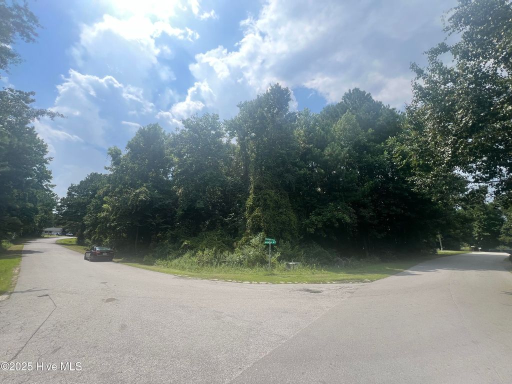 Photo of 919 Mandarin Trail, Jacksonville, NC 28540 (MLS # 100522189)