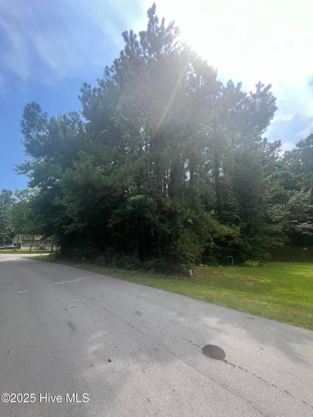 Photo of 919 Mandarin Trail, Jacksonville, NC 28540 (MLS # 100522189)