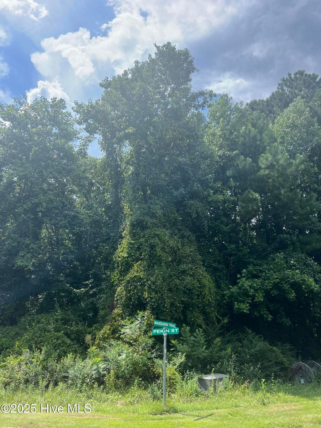 Photo of 919 Mandarin Trail, Jacksonville, NC 28540 (MLS # 100522189)