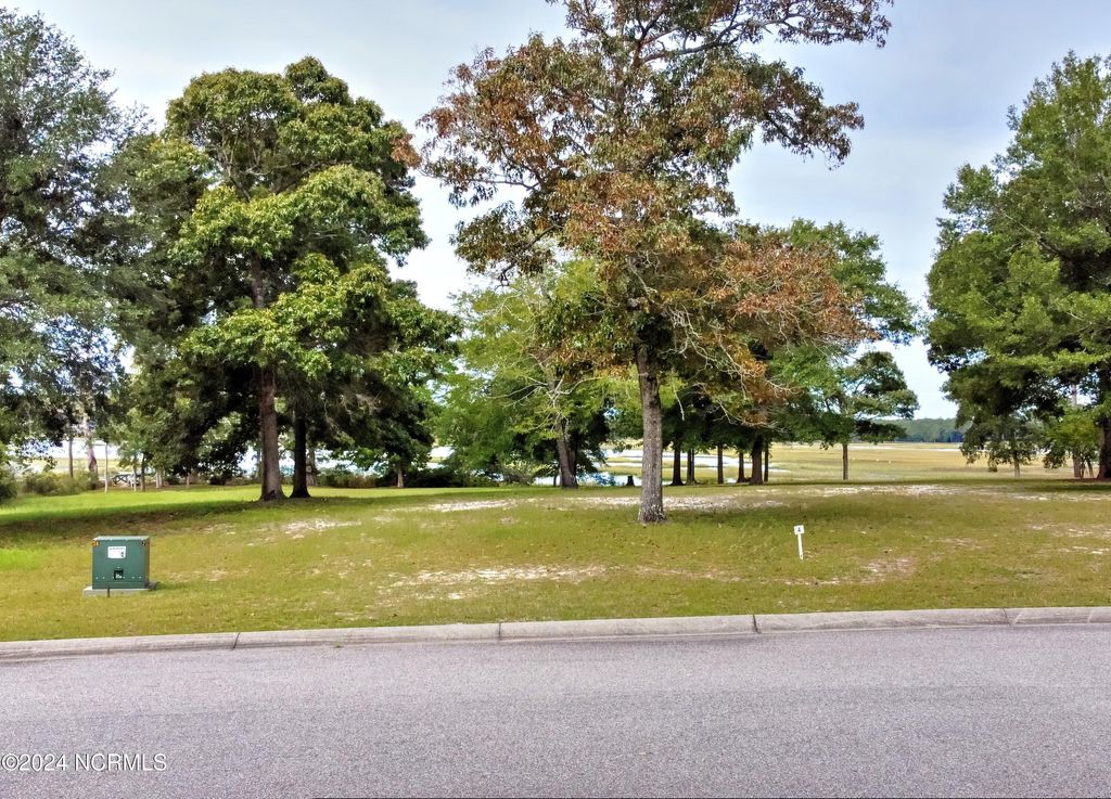 Photo of 1243 Hidden Shores Dr Dr SW, Shallotte, NC 28470 (MLS # 100469702)