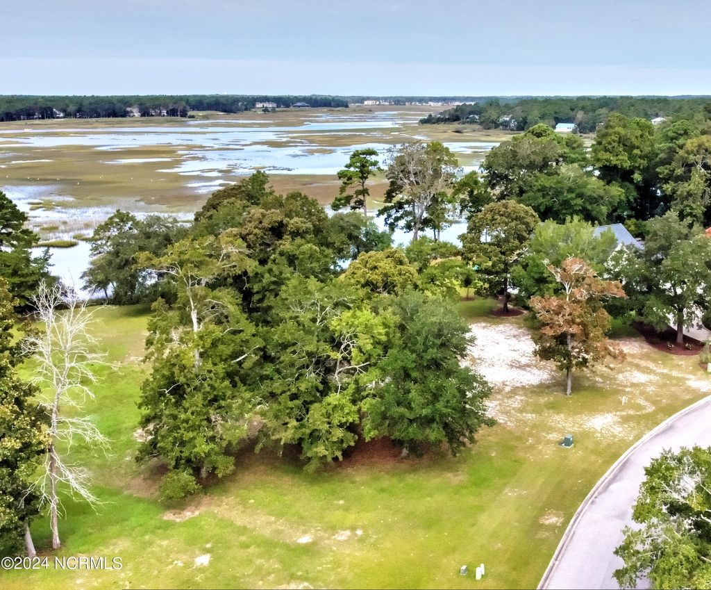 Photo of 1243 Hidden Shores Dr Dr SW, Shallotte, NC 28470 (MLS # 100469702)