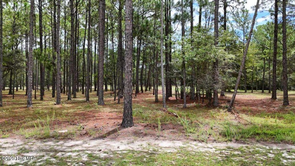 Photo of 6444 Waterbrook Way SW, Ocean Isle Beach, NC 28469 (MLS # 100524828)