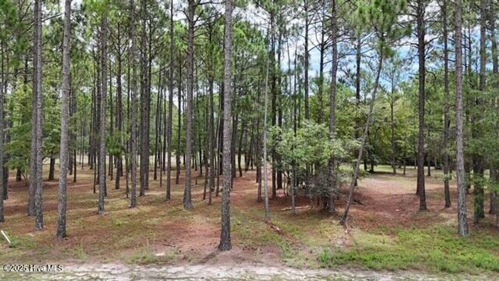 Photo of 6444 Waterbrook Way SW, Ocean Isle Beach, NC 28469 (MLS # 100524828)