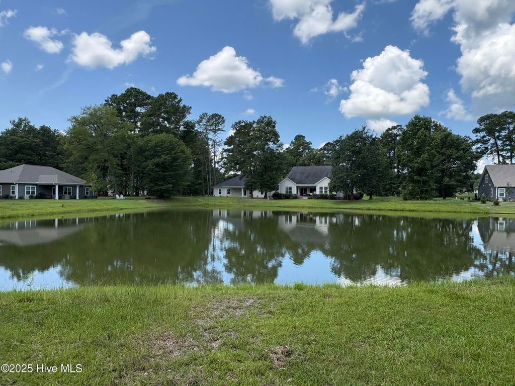 Photo of 135 Willow Oaks Drive, Wallace, NC 28466 (MLS # 100517577)