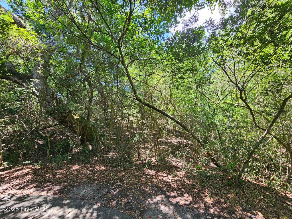 Photo of 5 Brunswick Court, Bald Head Island, NC 28461 (MLS # 100519108)