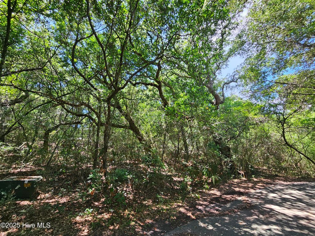 Photo of 5 Brunswick Court, Bald Head Island, NC 28461 (MLS # 100519108)