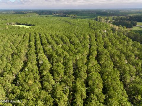 Tiny photo for 0 Atkinson Cemetery Road, Atkinson, NC 28421 (MLS # 100536662)