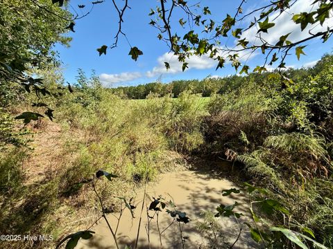 Tiny photo for 0 Atkinson Cemetery Road, Atkinson, NC 28421 (MLS # 100536662)