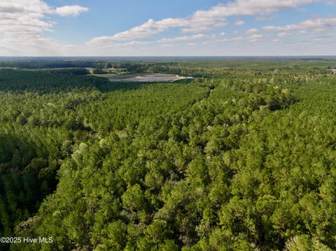 Tiny photo for 0 Atkinson Cemetery Road, Atkinson, NC 28421 (MLS # 100536662)