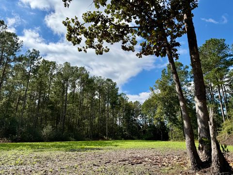 Tiny photo for 0 Atkinson Cemetery Road, Atkinson, NC 28421 (MLS # 100536662)