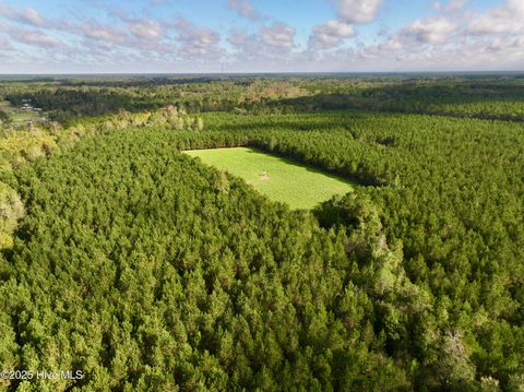 Tiny photo for 0 Atkinson Cemetery Road, Atkinson, NC 28421 (MLS # 100536662)