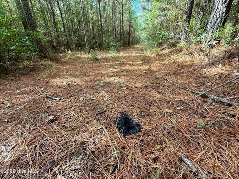 Tiny photo for 0 Atkinson Cemetery Road, Atkinson, NC 28421 (MLS # 100536662)