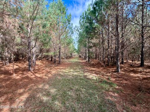 Tiny photo for 0 Atkinson Cemetery Road, Atkinson, NC 28421 (MLS # 100536662)