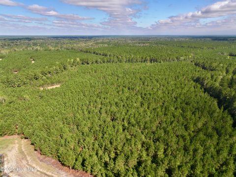 Tiny photo for 0 Atkinson Cemetery Road, Atkinson, NC 28421 (MLS # 100536662)