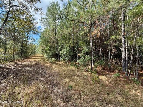 Tiny photo for 0 Atkinson Cemetery Road, Atkinson, NC 28421 (MLS # 100536662)