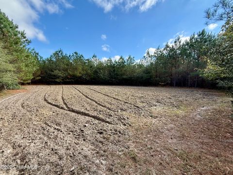 Tiny photo for 0 Atkinson Cemetery Road, Atkinson, NC 28421 (MLS # 100536662)