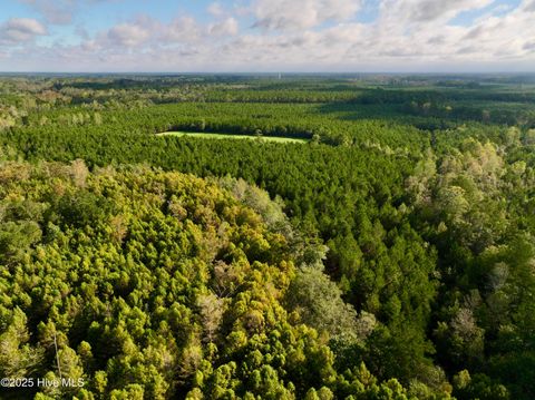 Tiny photo for 0 Atkinson Cemetery Road, Atkinson, NC 28421 (MLS # 100536662)