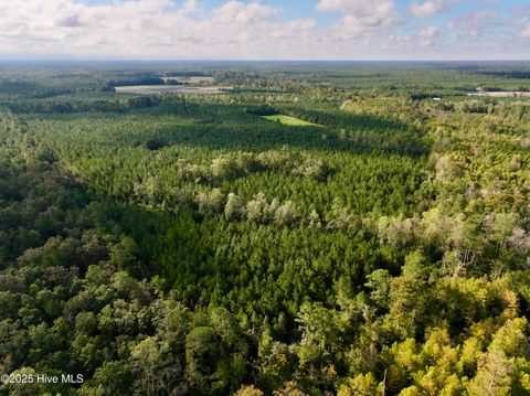 Tiny photo for 0 Atkinson Cemetery Road, Atkinson, NC 28421 (MLS # 100536662)