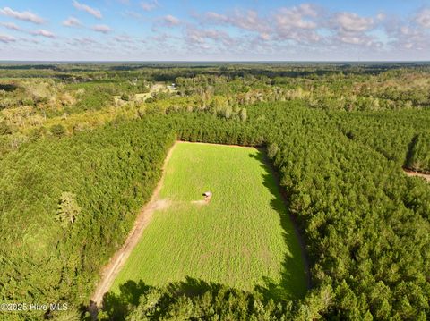 Tiny photo for 0 Atkinson Cemetery Road, Atkinson, NC 28421 (MLS # 100536662)