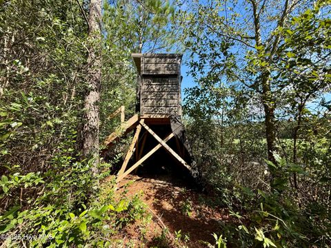 Tiny photo for 0 Atkinson Cemetery Road, Atkinson, NC 28421 (MLS # 100536662)