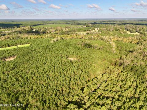 Tiny photo for 0 Atkinson Cemetery Road, Atkinson, NC 28421 (MLS # 100536662)