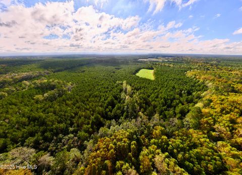 Tiny photo for 0 Atkinson Cemetery Road, Atkinson, NC 28421 (MLS # 100536662)